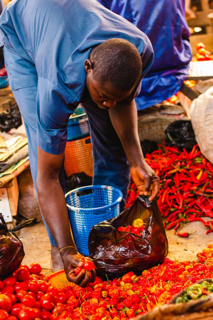 African man picking fresh tomatoes at a vibrant outdoor market.
